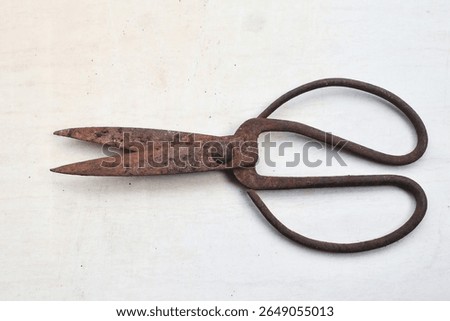 rusty scissors on a white background