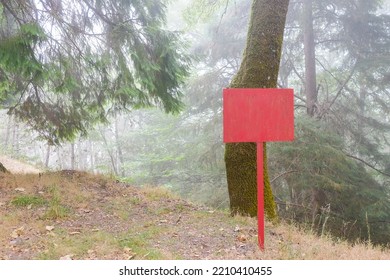 
Rusty Signpost In The Misty Forest