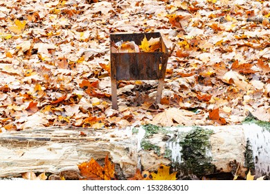 Rusty Small Barbecue Grill With Trash On Meadow Covered By Fallen Leaves In City Park In Autumn