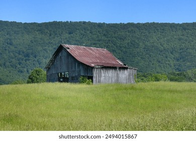 Rusty, torn tin tops a weathered wooden barn on a hill the the Appalachian Mountains.  Green meadow grass surrounds barn. - Powered by Shutterstock