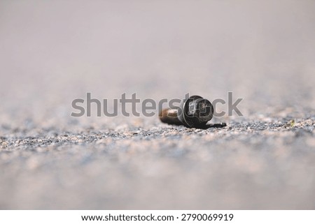 Rusty wheel bolt lying on asphalt road surface closeup