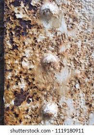 Rusty whitepainted wall background