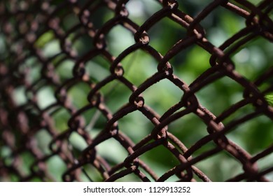 rusty wire mesh