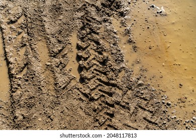 Rut On Muddy Surface Under The Direct Sunlight