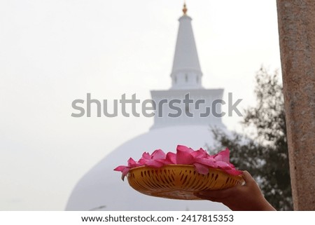 Ruwanweliseya is a revered Buddhist stupa located in Anuradhapura, Sri Lanka, a symbol of Buddhism and an integral part of the archaeological wonders found in Anuradhapura.