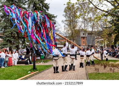 RUZOMBEROK, SLOVAKIA - MAY 1, 2022: Putting up the maypoles in a traditional folk custom in Slovakia