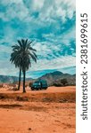 An RV in a picturesque desert setting, with a palm tree towering overhead against a cloudy sky.