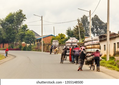 Rwandan farmers men delivering crops from the fields on the bikes loaded with sacks, central Rwanda