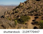 Ryan Mountain Trail Looks Out Over The Lost Horse Valley Below in Joshua Tree National Park