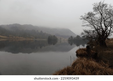 Rydal Water in the English Lake District on a dank day in February. A bare tree stands by the waterside whilst a grey, misty stillness hangs over the lake and fells.