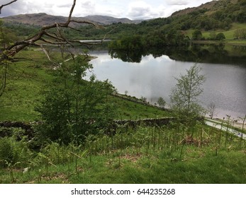 Rydal Water, Lake District, Cumbria, England