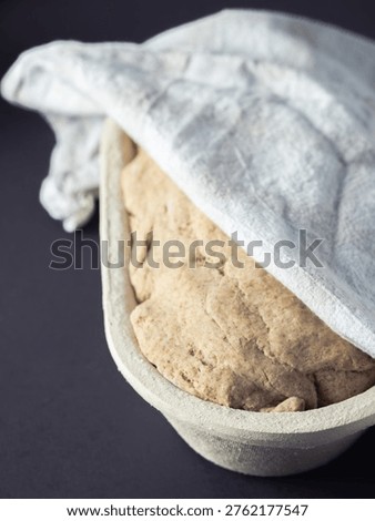 Rye bread dough fermenting in a fermentation basket or banetone, close up