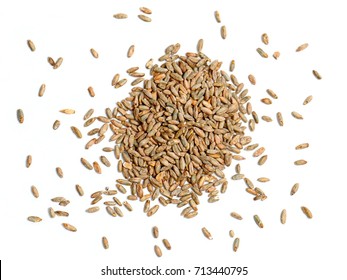 Rye Grain On White Background