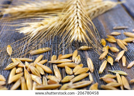 Similar – Image, Stock Photo Why Zen? Wheat Moonlight