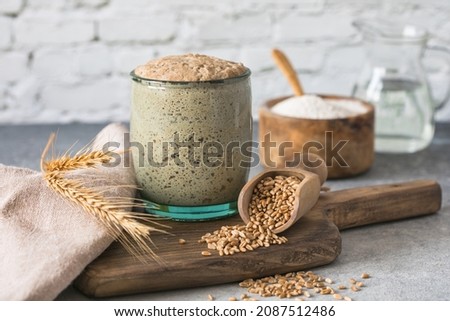 Similar – Image, Stock Photo Artisanal Rye Sourdough Bread on Wooden Board