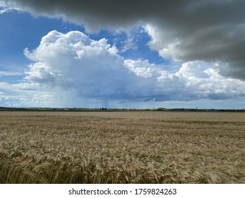 rye and storm clouds, nice view background