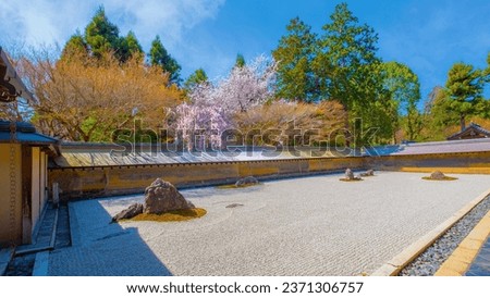 Ryoanji Temple in Kyoto, Japan is the site of Japan's most famous rock garden and beautiful cherry blossom in spring time
