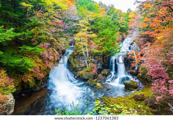 Ryuzu Cae En Otono En El Parque Nacional Nikko Japon