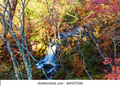 Ryuzu No Taki Waterfall  In Autumn
