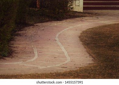 S Curved Path Fine Art