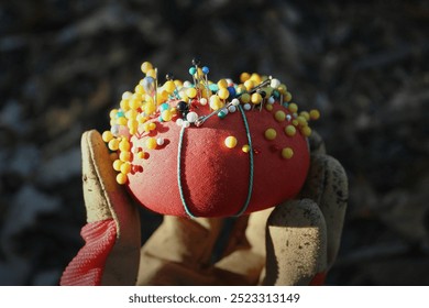 It s Sewing Season. Gardener holding up pin cushion tomato in gloved hand - Powered by Shutterstock