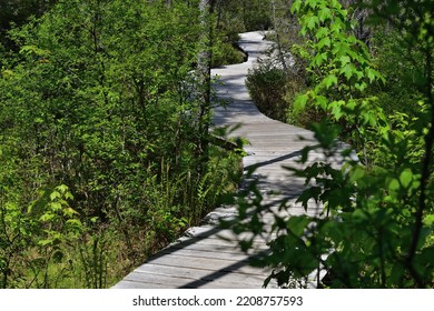 S Shape Wood Walkway. Zigzag Wooden Boardwalk.