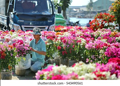 Sa Dec flower planting village, Dong Thap province, Vietnam - January 24, 2016: Local Farmer forearm flower pots for transportation to sell at another location, the days before Vietnamese Tet holiday