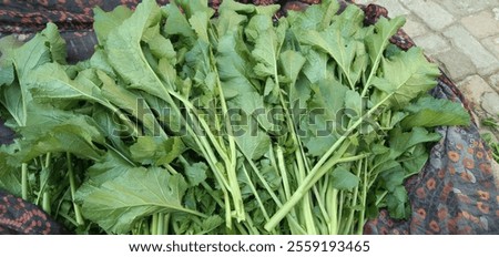 Saag is a leafy vegetable that has many health benefits, including:

Antioxidants

Saag contains antioxidants like beta-carotene, lutein, and zeaxanthin, which help neutralize harmful free radicals 
