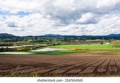 Saanich Farm Panorama, British Columbia, Canada