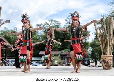 Sabah. Malaysia - 15 Nov 2017 : A Man Wearing Traditional Costume Of Murut Ethnic Dancing Traditional Dance In Keningau, Sabah. Malaysia