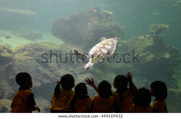 Sabah Malaysia April 28 2016 Preschoolers Stock Photo Edit Now 444169432