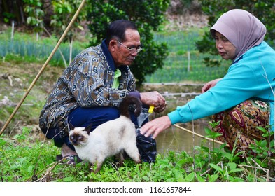 Sabah/Malaysia_Sep 19 2017: An Old Couple Fishing At The Side Of The Pool At Kundasang With Their Lovely Cat.