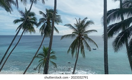 Sabang, Indonesia - August 1, 2021: Beautiful beach with trees , Aceh Province, Indonesia on August 1, 2021.