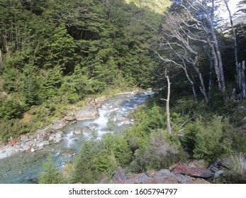 Sabine River, Nelson Lakes National Park, New Zealand.