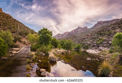 Sabino Canyon