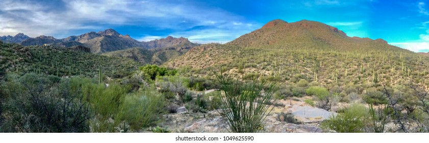 Sabino Canyon In Arizona