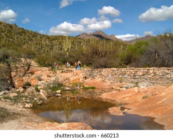 Sabino Canyon Reflection