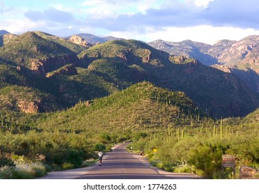 Sabino Canyon Walk