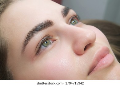 Sable-Style-Augenbrauen-Konzept. Nahaufnahme des jungen sinnlichen Modells mit sauberer Haut, professioneller Schminke und schönen grünen Augen, laminierte Wimpern, tropischer Hintergrund mit Farnblättern.