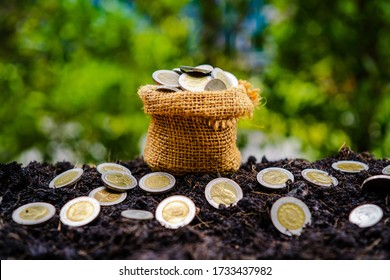 A sack of bags filled with a lot of coins were placed on the land. Growth in the financial sector, investments, and expansion of partners concept
