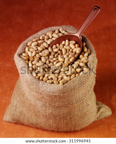 SACK OF ROASTED SOYA NUTS