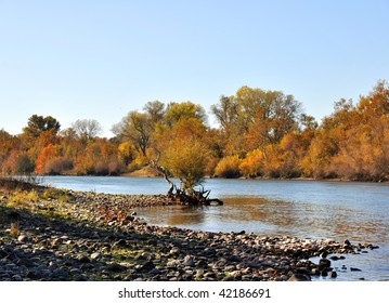 Sacramento River In The Fall