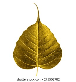 Sacred Fig Leaf Isolated