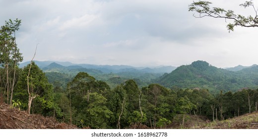 Sacred Forest Conservation Of Baduy People, Banten Province, Indonesia