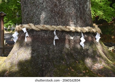 791 Sacred Straw Rope Images, Stock Photos & Vectors | Shutterstock