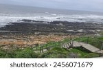 Sacremento rocky beach in Port Elizabeth 