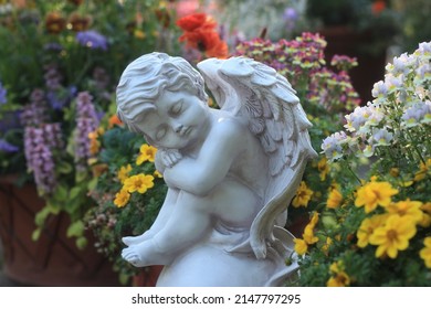 Sad Angel In The Flower Garden