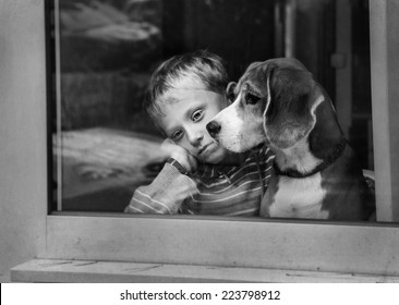 Sad Boy With Dog Waiting Near The Window