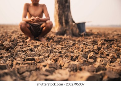 Sad a boy sitting on dry ground .Seedling wither on dry land. As the young man's hand was gently encircled. concept hope and drought