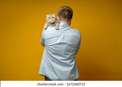 Sad Cat, Scottish Fold, Sits On The Owner Shoulder And Looks At The Camera. Concept Of Love For Pets.